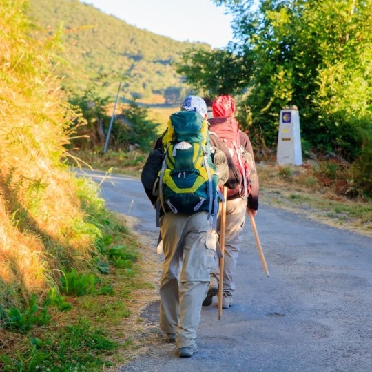 CAMINO DE SANTIAGO