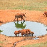 KENIA