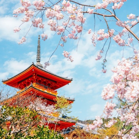 JAPÓN