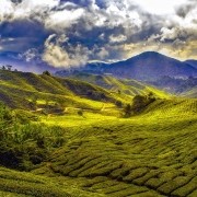 malasia