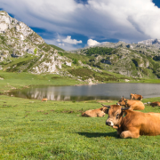 ASTURIAS