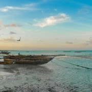ZANZIBAR