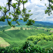 COLOMBIA