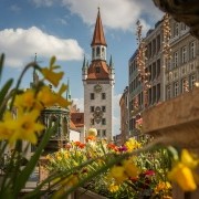munich